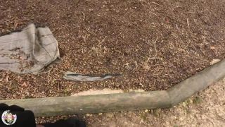 Aurbeaureal42980095 video 2022-01-18 14-01-2