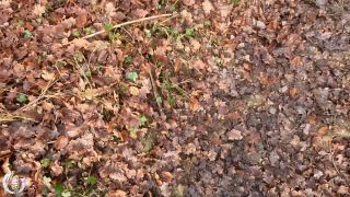 Aurbeaureal42980095 video 2022-01-18 14-01-5