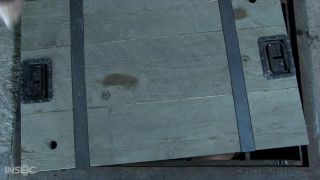 clip 40 IR – 1022, femdom and slave on femdom porn -9