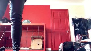 Femdom porn LoyalFans: Mistress Black - Spanked and Led Around with His Balls Tied Tight    Ballbusting-9