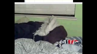 Horny amateur brunette girl strip teasing and playing on webcam - Masturbation-2