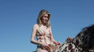 zishy cami sembrabella horses-1