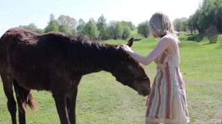 zishy cami sembrabella horses-3
