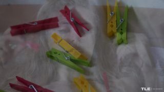 Clothespins Experiment 2-1