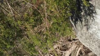 free xxx video 43 IMG 9696 - hidden camera - webcam -7