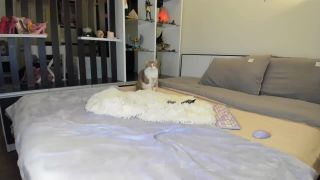 Shemale Webcams Video for July 08, 2021 – 11 webcam -2