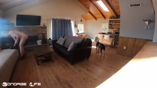 free adult video 33 BondageLife – Greyhound The Maid – Rachel Greyhound, femdom in boots on bdsm porn -1