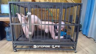 xxx video clip 36 femdom foot humiliation bdsm porn | Bondage Life – Cage Time With Greyhound | rachel greyhound-2