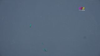 Custom Fetish - Bunny s Tongue Raspberries 4K - Fetish-4