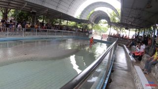 Thai Swingers 4K: Crocodile Zoo Bondage Sex Thrills 2025!-2