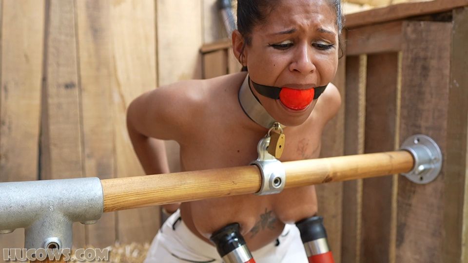 Calisa Bliss - Curious - BDSM