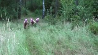 clip 9 Bizarre By Nature #12 [SD 699.3 MB] | latex | femdom porn mistress nikita femdom-9