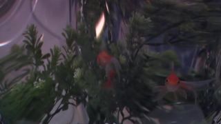 Porno Stamps, Scene 2-8