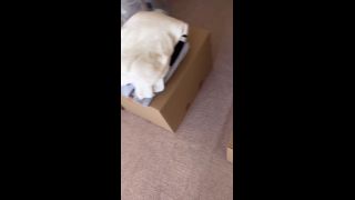 FC2PPV-4733616-【ガチヤバ！】引っ越し最中におっぱじめたら途中引っ越し業者が来ち-1