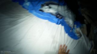 Sneaky Top, Hands Free Creampie (Femdom porn) Piew-7