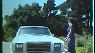 Swedish Erotica 308 Flat Tire 1970's-0