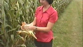 [K2S.CLUB] Laura4you - Maiskolbenfick - HD 720P-1