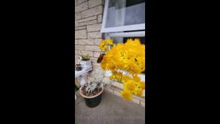 LittleMapleBerry () Littlemapleberry - thought id upload my tiktok haha its not a vlog but i thought you guys would enjoy it a 14-02-2022-0