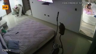 Voyeur 130 Colombia Medellín NMzZHmscP-5