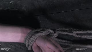 adult video clip 28 Hardtied – Pro Sub – Lynx 2020-12-30 - bondage - fetish porn femdom models-6