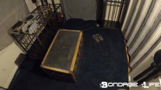 The Gimp Box - 08.29.22.-8