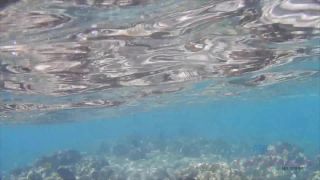 adult xxx video 21 Melody Marks Amateur Sex On Hawaii Vacation, hardcore porn funny on hardcore porn -3