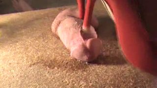 trampling on a guy's genitals Download New Porn Video Fas...-0