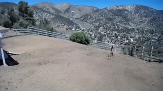 free porn clip 20 daddy fetish BondageLife – Yard Maintenance (Dirt Edition) – Rachel Greyhound, bondage on fetish porn-2