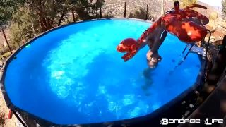 online xxx clip 10 fetish foxes femdom porn | By The Pool With Greyhound | bdsm porn-8