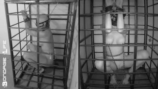 online xxx video 20 mature lesbi bdsm Bondage Life: More Storage Time For Greyhound (Release date: Aug. 24, 2021) Bondage, bondage on bdsm porn-1