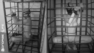 online xxx video 20 mature lesbi bdsm Bondage Life: More Storage Time For Greyhound (Release date: Aug. 24, 2021) Bondage, bondage on bdsm porn-2