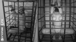 online xxx video 20 mature lesbi bdsm Bondage Life: More Storage Time For Greyhound (Release date: Aug. 24, 2021) Bondage, bondage on bdsm porn-3