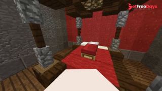 Robin Hentai All animation minecraft jenny xhatihentai gameplay-1