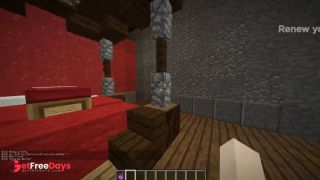 Robin Hentai All animation minecraft jenny xhatihentai gameplay-6