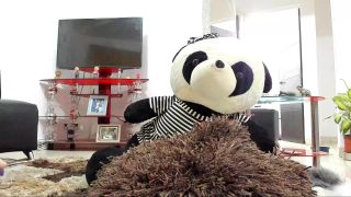 Porn online Shemale Webcams Video for August 26, 2019 – 17 (MP4, FullHD, 1920×1080) Watch Online or Download!-1