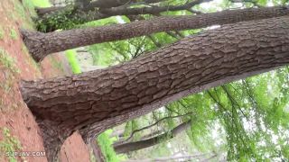 FC2PPV 3081088 【無】【完全顔出し】芸術家の卵りなちゃん＃３ 初めてのドライブデートで野外露○＆旅館で浴衣中出し【本編約３時間３０分】【浴衣フェラで人生初顔射特典あり】 - JAV-0