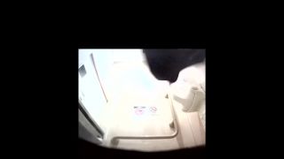 Japanese style toilet – 15280480 Asian!-3