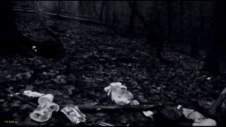 My Dirty Hobby - Deutsche Dominaz - Besamung im Wald - Mdh-9