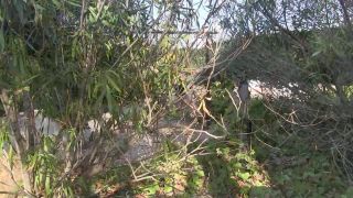 breastsinpain comLittle Red Girl pulling hard on her Tits-9