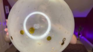 online xxx video 32 SneezeGoddess – Confetti Party from B2P Crystal Balloon - dirty talk - pov gay spit fetish-8
