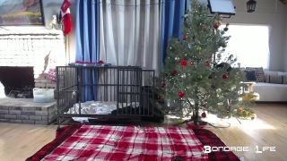 free adult video 13 BondageLife – Christmas Lunch and Chat Rachel Greyhound - bdsm - bdsm porn bonnie rotten femdom-3