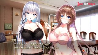 H GAMERole playerH     Eroge  Hentai  Anime  Eroge-3