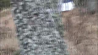 Lost And Trapped In The Woods Download Porn Videos in Go...-1