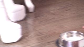 FEMDOM-AUSTRIA - Suck This Full Of Cum Condom Slave.-1