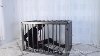 Ultimate Cage Vibe Ruin Femdom!-4