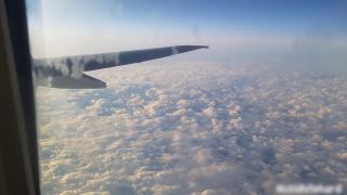 Airplane Sucking Dick And Masturbatings - Public-6