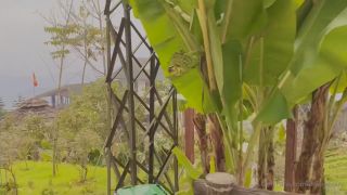 ilovesexary – Vietnam Trip.-9