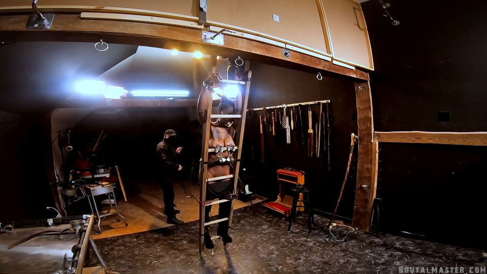 free video 44 Fuckmeat First Time In HELL [Full HD 2.44 GB] - humiliation - fetish porn pornbb fetish