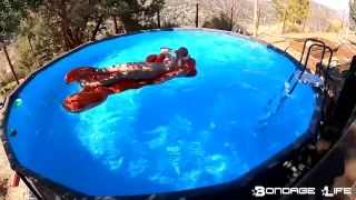 free online video 42 By The Pool With Greyhound - fetish - bdsm porn xxx bdsm anal-7