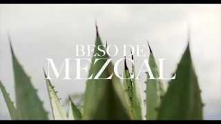 online adult clip 42 Gia Kush, Danni Strobe, Suculenta - Beso De Mezcal , pvc fetish on fetish porn -1